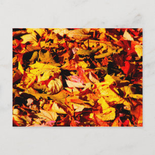 Carte Postale Feuilles d'automne Brown dorées