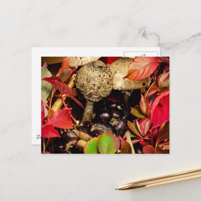 Carte Postale feuilles d'automne, châtaignes champignons photo (Devant/Arrière en situation)