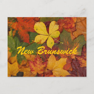 Carte postale Feuilles d'automne du Nouveau-Brunsw