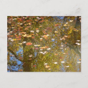 Carte Postale Feuilles d'automne et réflexion sur le cours d'eau
