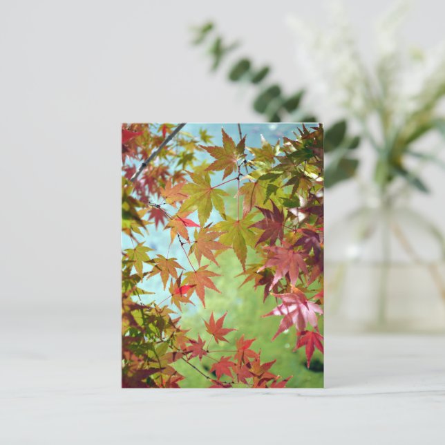 Carte Postale Feuilles d'automne : Japon (Debout devant)
