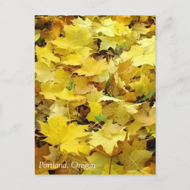 Carte Postale Feuilles d'automne jaunes (Devant)