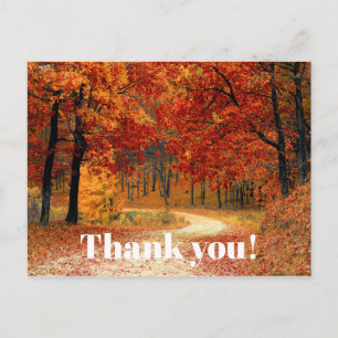 Carte Postale Feuilles d'automne orange / Photo Merci