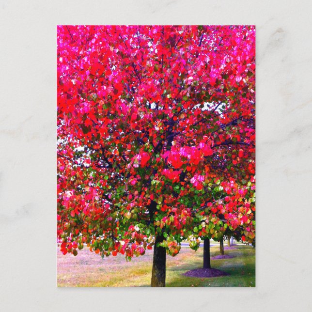 Carte Postale Feuilles d'automne rose impressionniste (Devant)