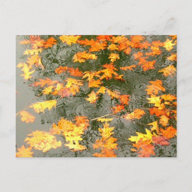 Carte Postale Feuilles d'automne sous la pluie (Devant)