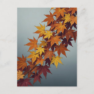 Carte Postale Feuilles de érable jaune orange vibrant Feuillage