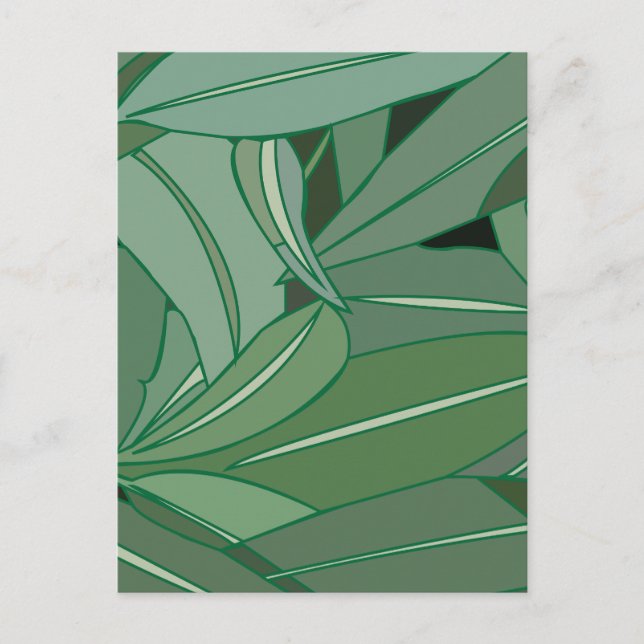 Carte Postale Feuilles de Eucalyptus Vertes  (Devant)