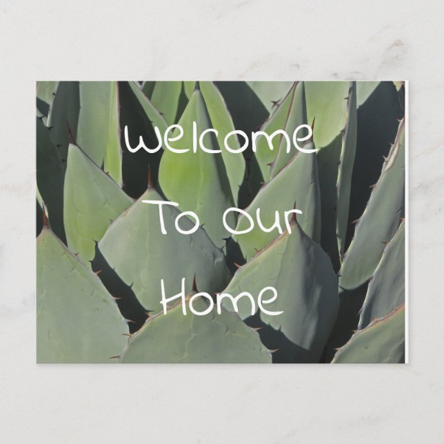 Carte Postale Feuilles de l'Agave Vert de Bienvenue Photo Sud-Ou (Devant)
