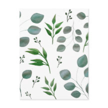 Feuilles de l'eucalyptus