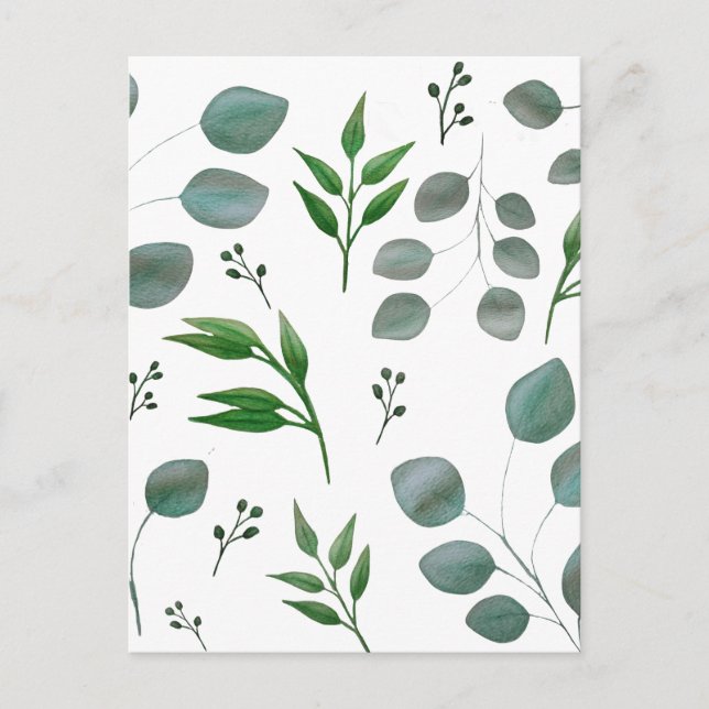 Carte Postale Feuilles de l'eucalyptus (Devant)