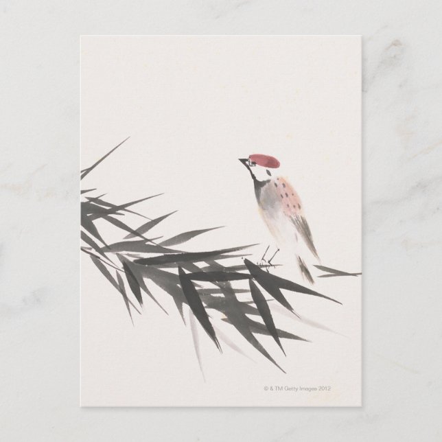 Carte Postale Feuilles de moelle épinière et bambou (Devant)