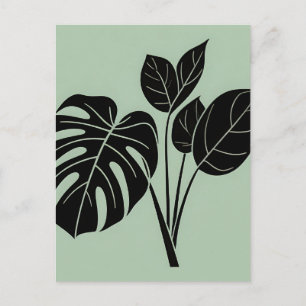 Carte Postale Feuilles de Monstera Minimalisme Tropical Sage