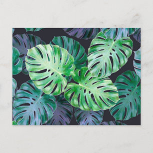 Carte Postale Feuilles de Monstera Tropical