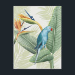 Carte Postale Feuilles De Palme Avec Oiseau Bleu<br><div class="desc">Feuilles De Palmiers Avec Oiseau Bleu Artiste : Grace Popp</div>
