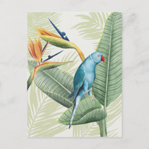Carte Postale Feuilles De Palme Avec Oiseau Bleu
