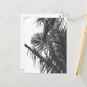 Carte Postale Feuilles de palmier noir blanc monochrome