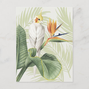 Carte Postale Feuilles De Palmiers Avec Oiseau Blanc
