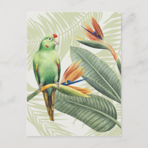 Carte Postale Feuilles De Palmiers Avec Oiseau Vert