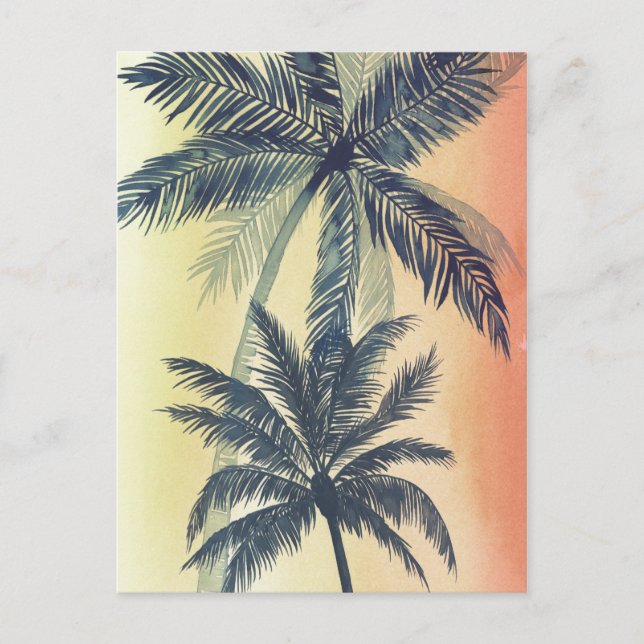 Carte Postale Feuilles de palmiers tropicaux (Devant)