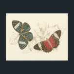 Carte Postale Feuilles de Sepia avec papillons colorés<br><div class="desc">Les ailes de ces papillons colorés se démarquent merveilleusement par rapport aux tons sépia des feuilles dessinés à la main dans cette pièce. La beauté captivante de cette impression serait extraordinaire dans votre maison. Achète-en un exemplaire aujourd'hui !</div>