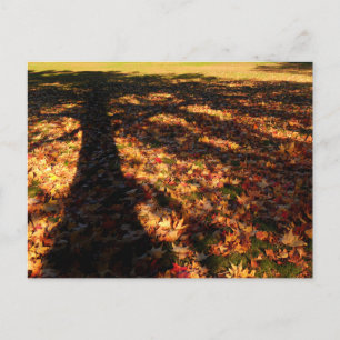 Carte Postale Feuilles d'érable