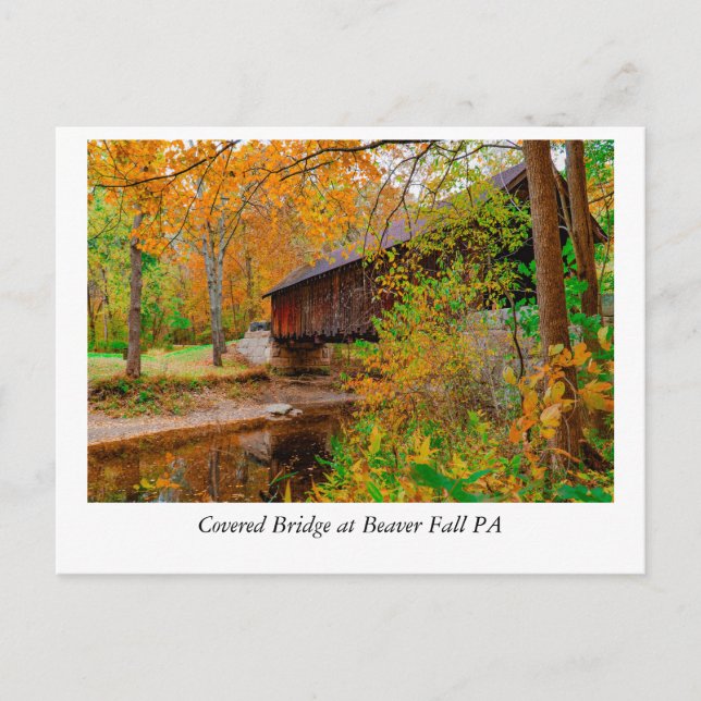 Carte Postale Feuilles d'or et beauté intemporelle : Beaver Fall (Devant)