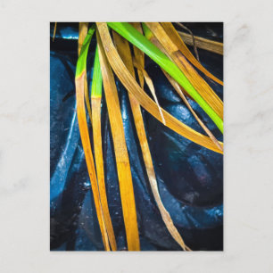 Carte Postale Feuilles dorées et vertes avec gouttelettes d'eau