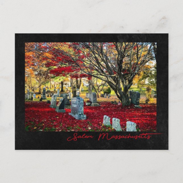 Carte Postale Feuilles en chute à Salem, Massachusetts (Devant)