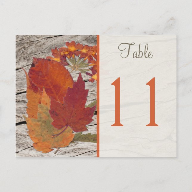 Carte Postale Feuilles et fleurs d'automne séchées Numéro de tab (Devant)