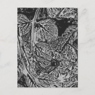 Carte Postale Feuilles noires
