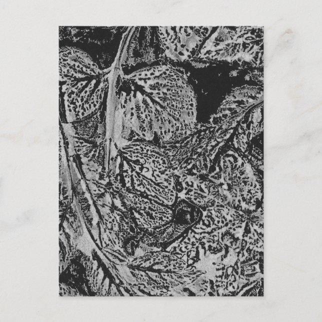 Carte Postale Feuilles noires (Devant)