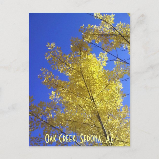 Carte Postale Feuilles, Oak Creek, Sedona, AZ (Devant)