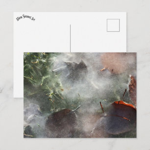 Carte Postale feuilles sous la glace