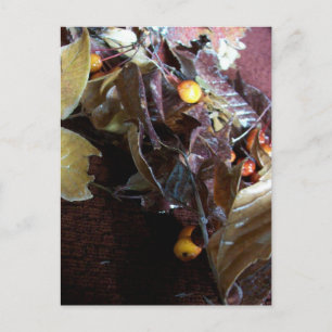 Carte Postale Feuilles tombés