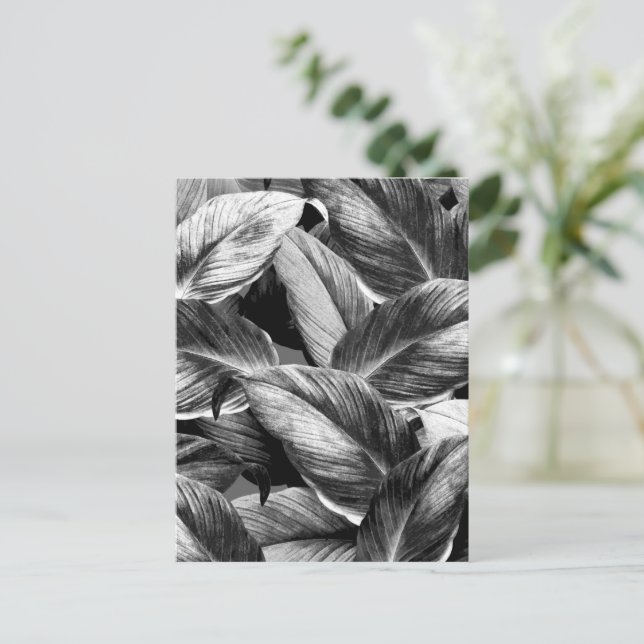 Carte Postale Feuilles tropicaux 8 (Debout devant)