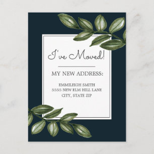 Carte Postale Feuilles verts sur tableau noir Chaler Adresse