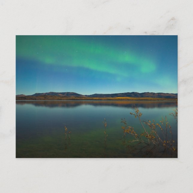 Carte Postale Feux du Nord (Aurora borealis) (Devant)