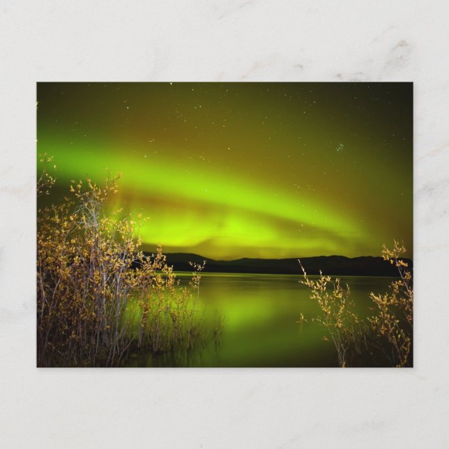 Carte Postale Feux du Nord (Aurora borealis) (Devant)