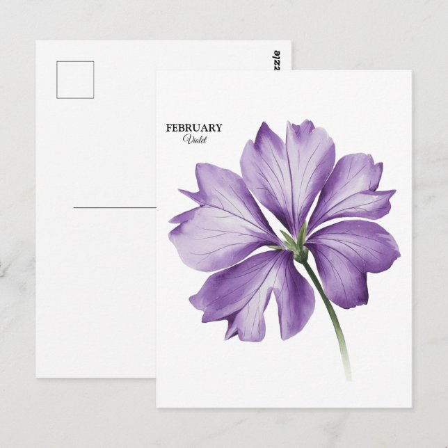 Carte Postale Février Fête d'anniversaire : Violet cadeau person (Devant / Derrière)