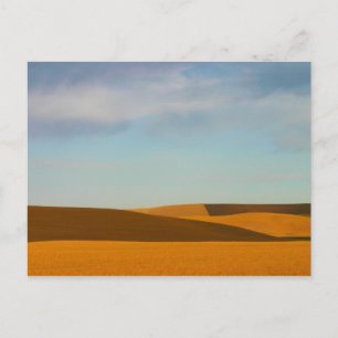 Carte Postale Fibres de blé d'or dans la région de Palouse