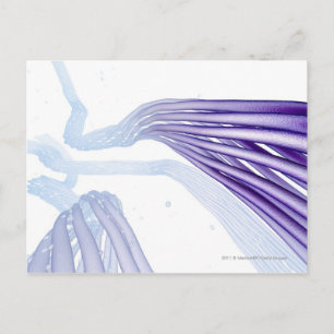 Carte Postale Fibres nerveuses stylisées