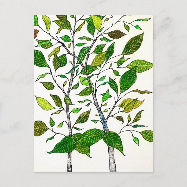 Carte Postale Ficus Plant Color Pencil Tree Drawing  (Devant)