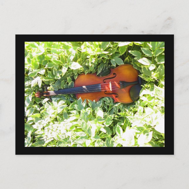 Carte postale Fiddle et Ivy Violon (Devant)
