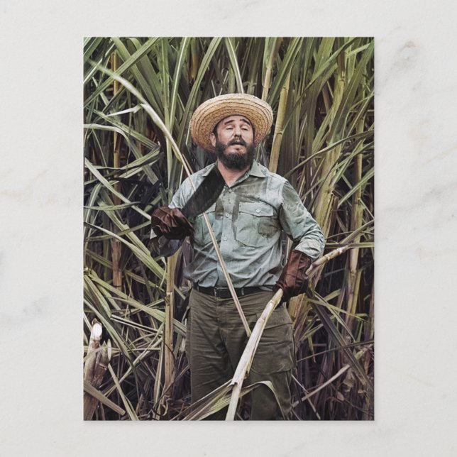 Carte Postale Fidel Castro (Devant)