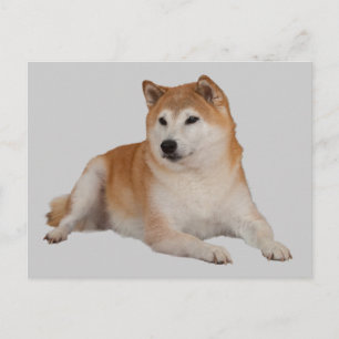 CARTE POSTALE FIDÈLE