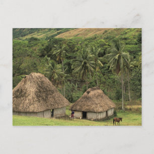 Carte Postale Fidji, Viti Levu, Navala, maisons traditionnelles 