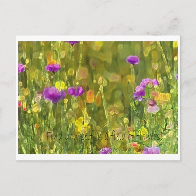 Carte Postale Field Flowers Postcard (Devant)