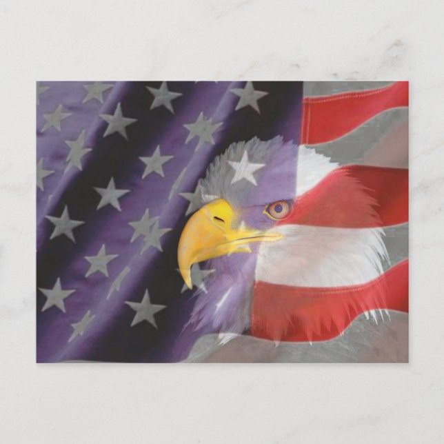 Carte postale Fier et Patriotique USA Bald Eagle (Devant)