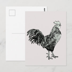 Carte Postale Fier petit coq !