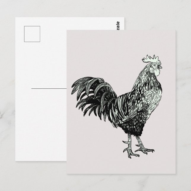 Carte Postale Fier petit coq ! (Devant / Derrière)